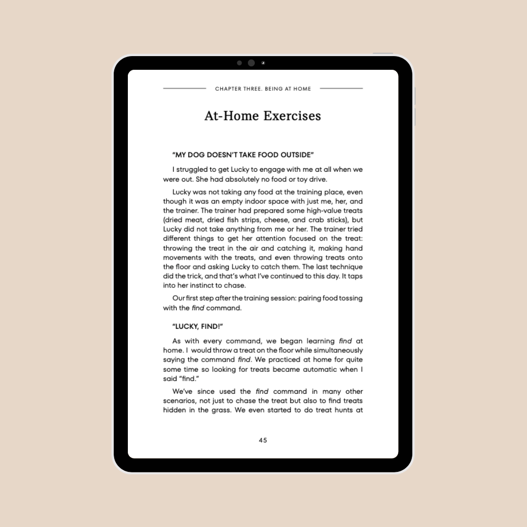 Our Book - Embracing Life with an Anxious and Reactive Dog