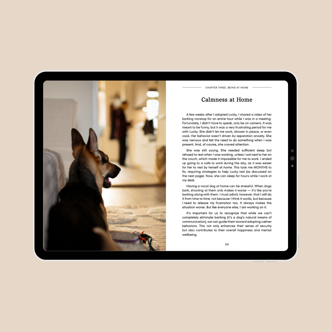 Our Book - Embracing Life with an Anxious and Reactive Dog