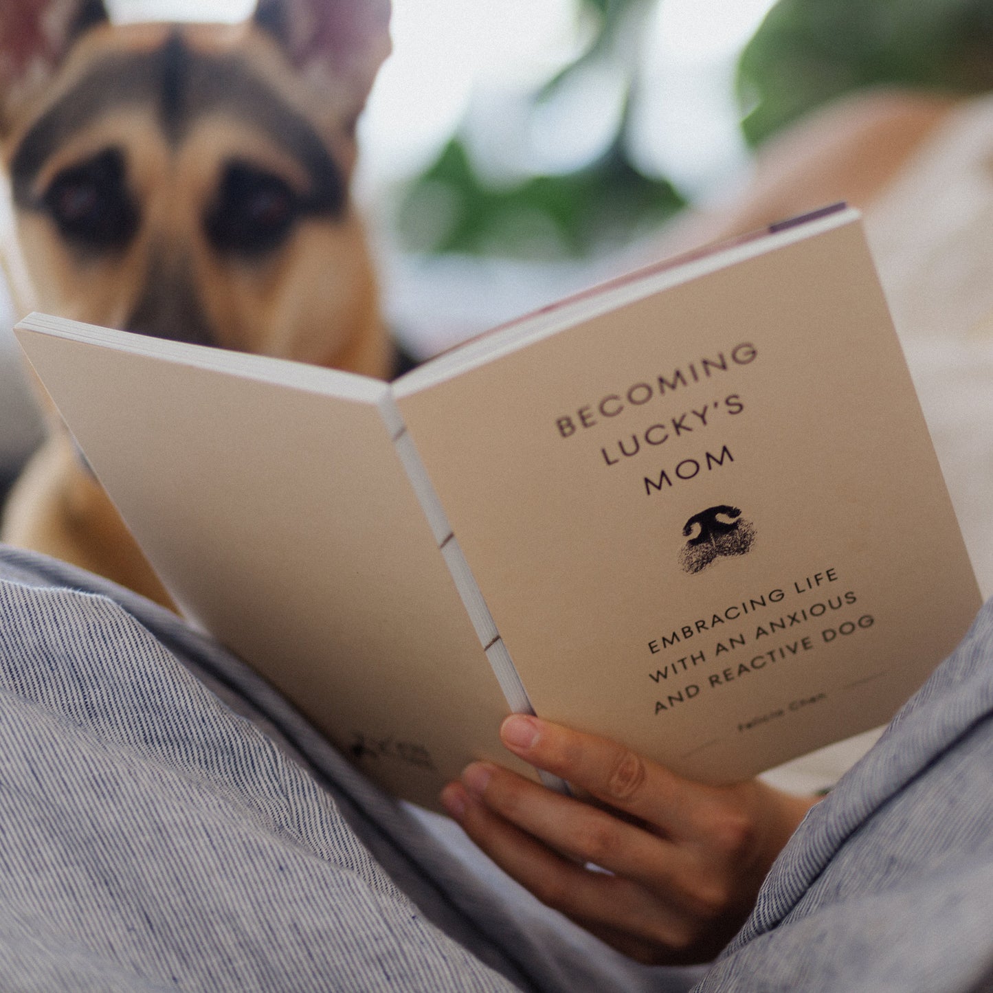 Our Book - Embracing Life with an Anxious and Reactive Dog
