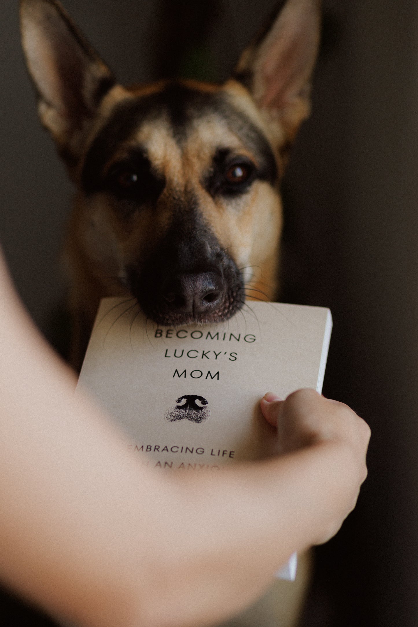 Our Book - Embracing Life with an Anxious and Reactive Dog