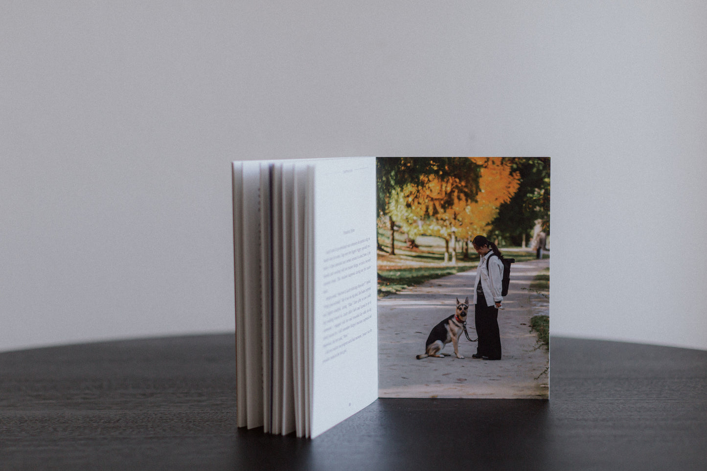 Our Book - Embracing Life with an Anxious and Reactive Dog