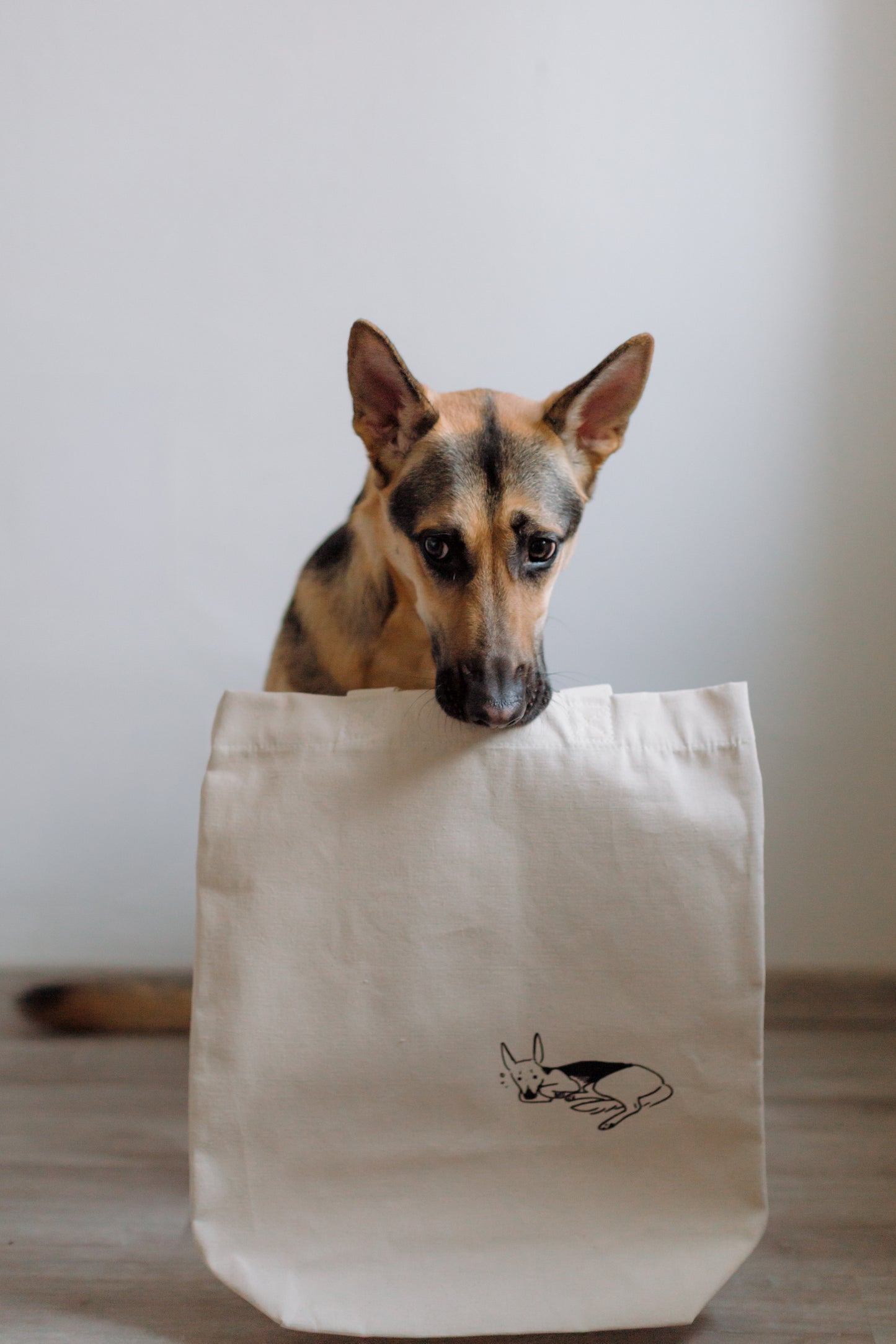 Organic Cotton Tote Bags