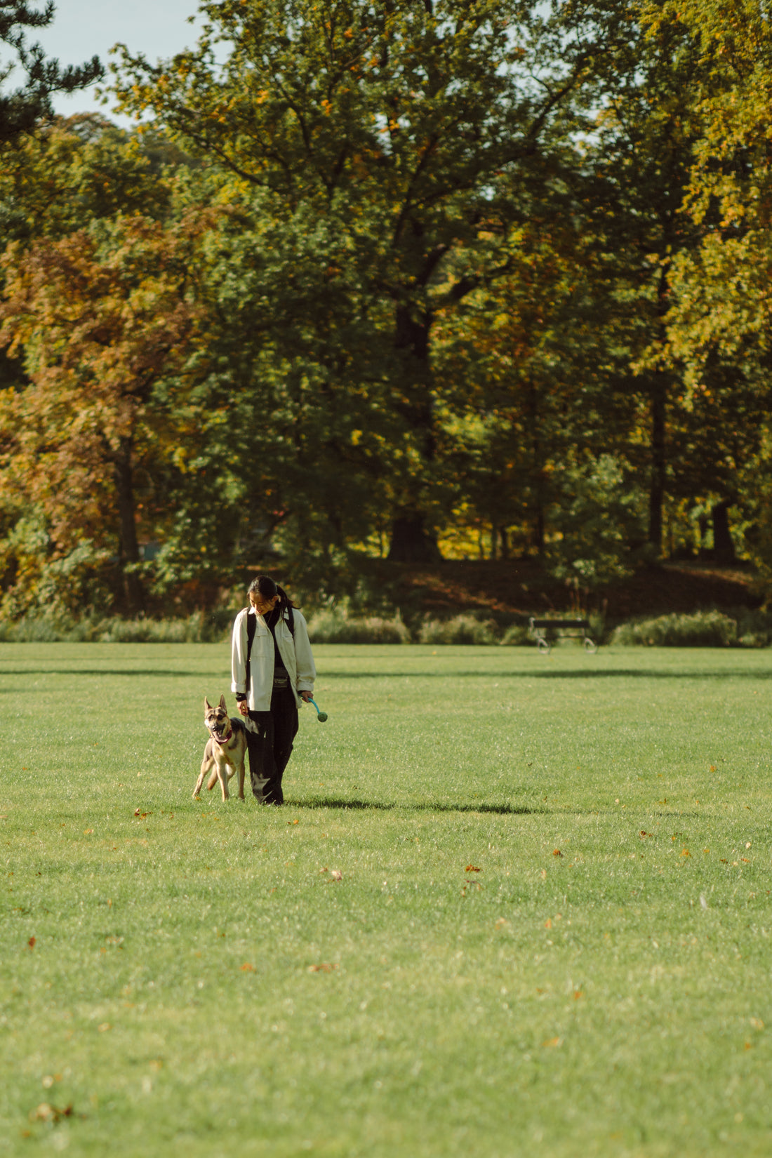 An Encounter on Our Walk - A dog with epilepsy and temporarily lost memory of his whereabouts and owners