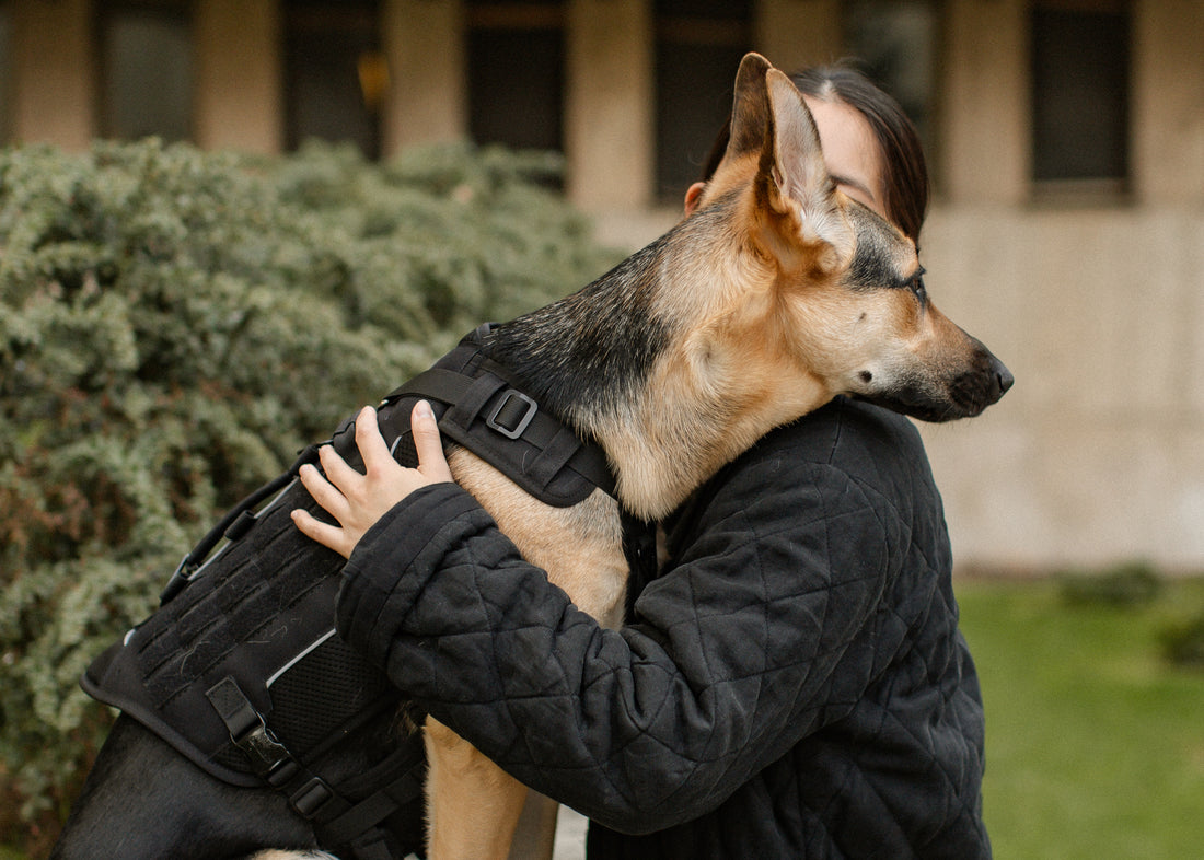 Admitting my imperfections in training my anxious and reactive dog