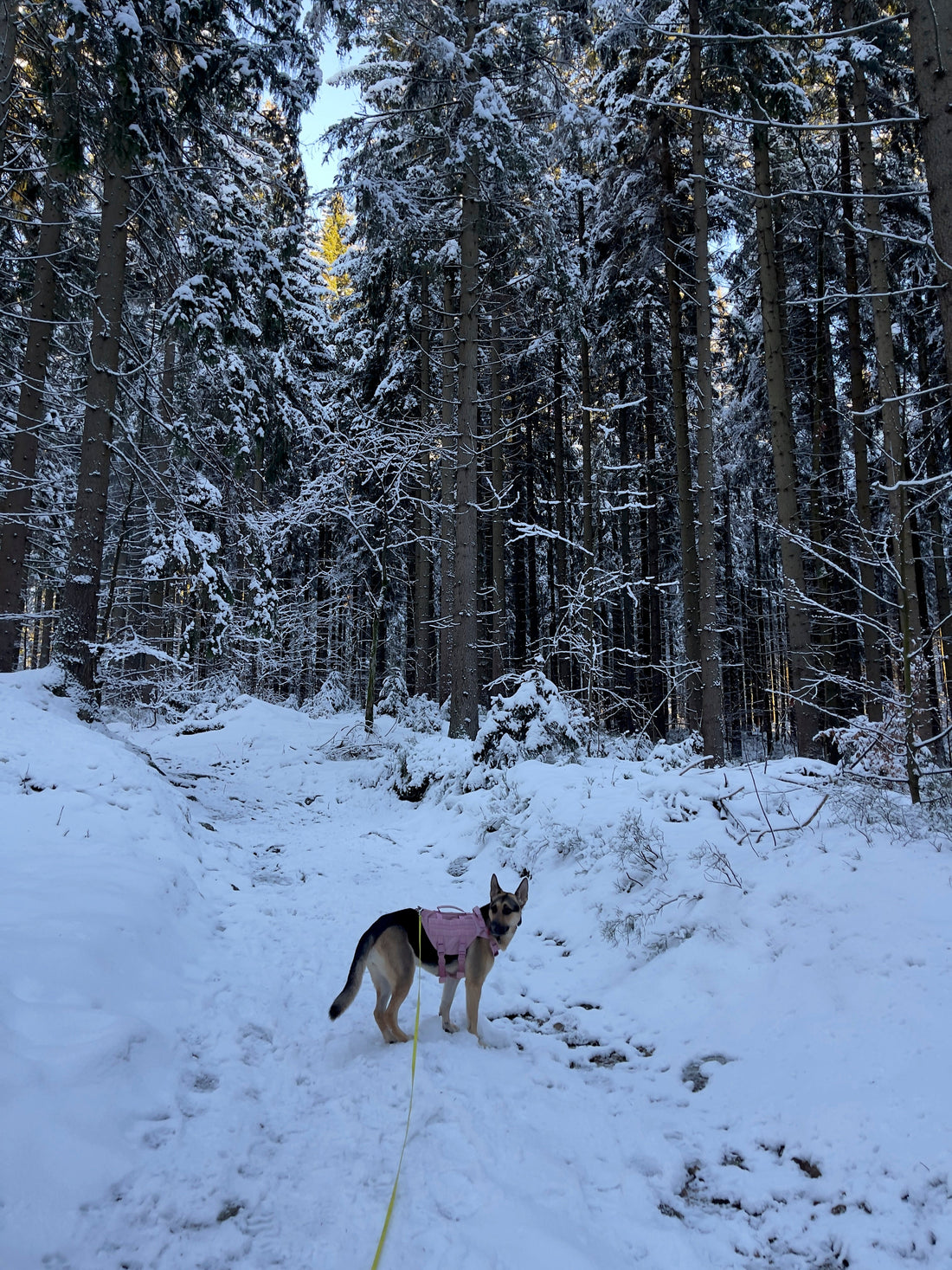 Story Time - One Year Since That Disaster