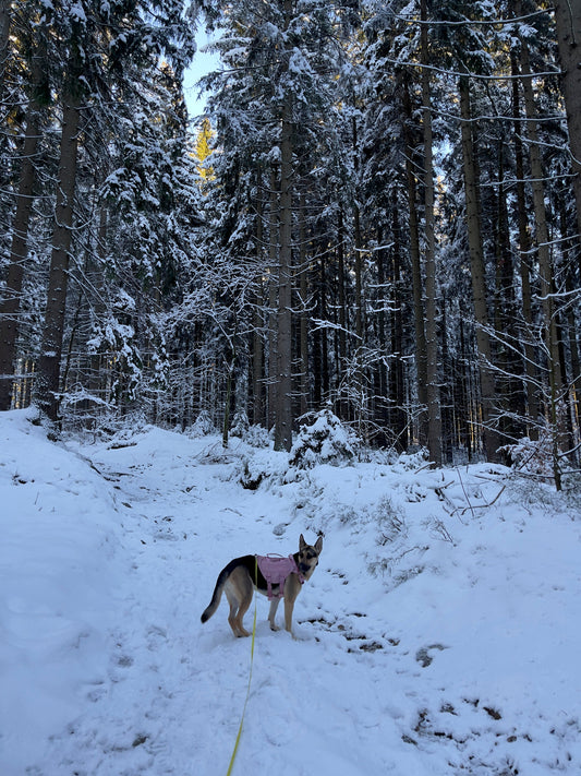 Story Time - One Year Since That Disaster