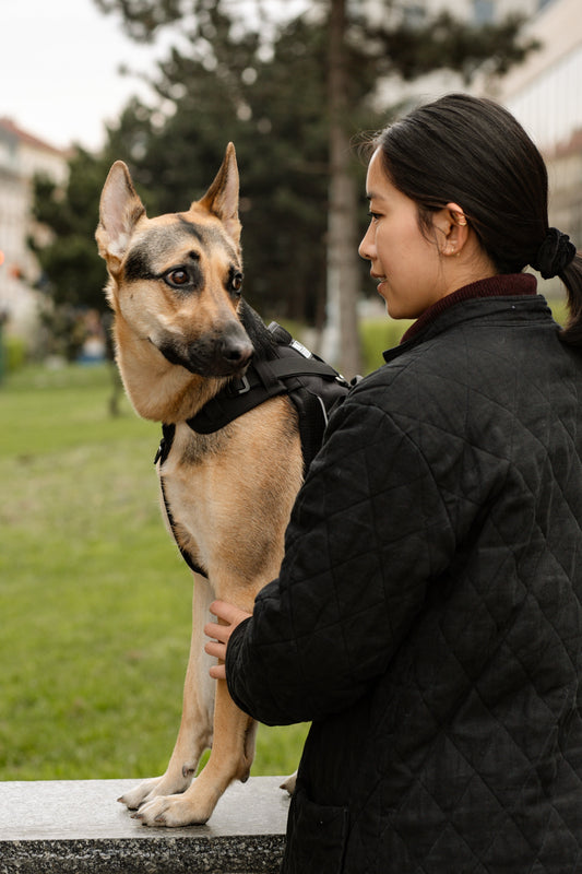 Better Life or Longer Life?