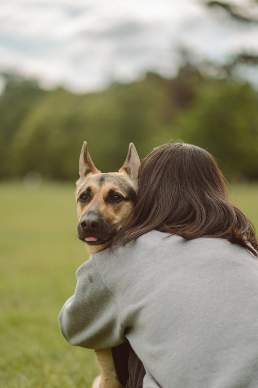 Life with a reactive dog is full of contradictions