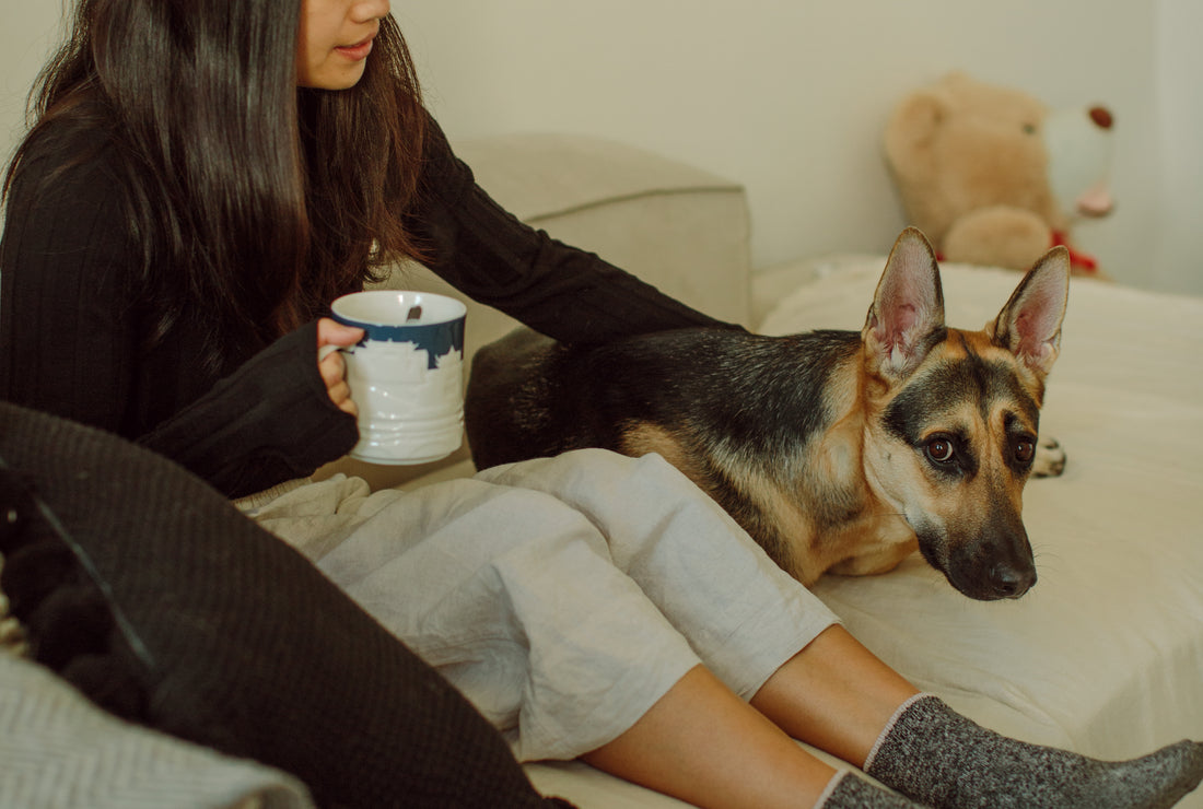 When bad days happen with my highly anxious and reactive dog