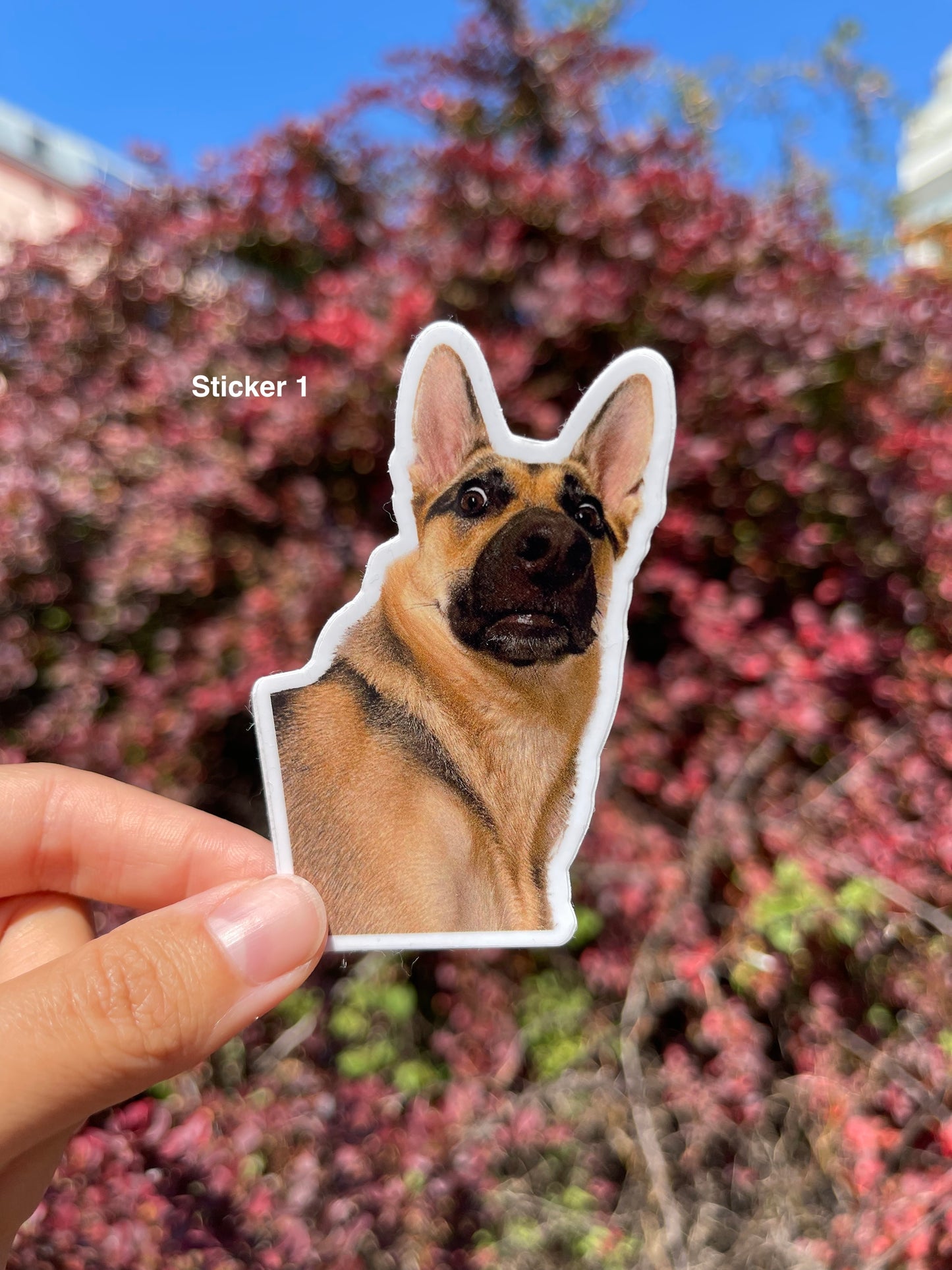 "My Dog Barks" Stickers